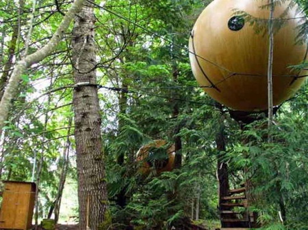 сумашедшие дома